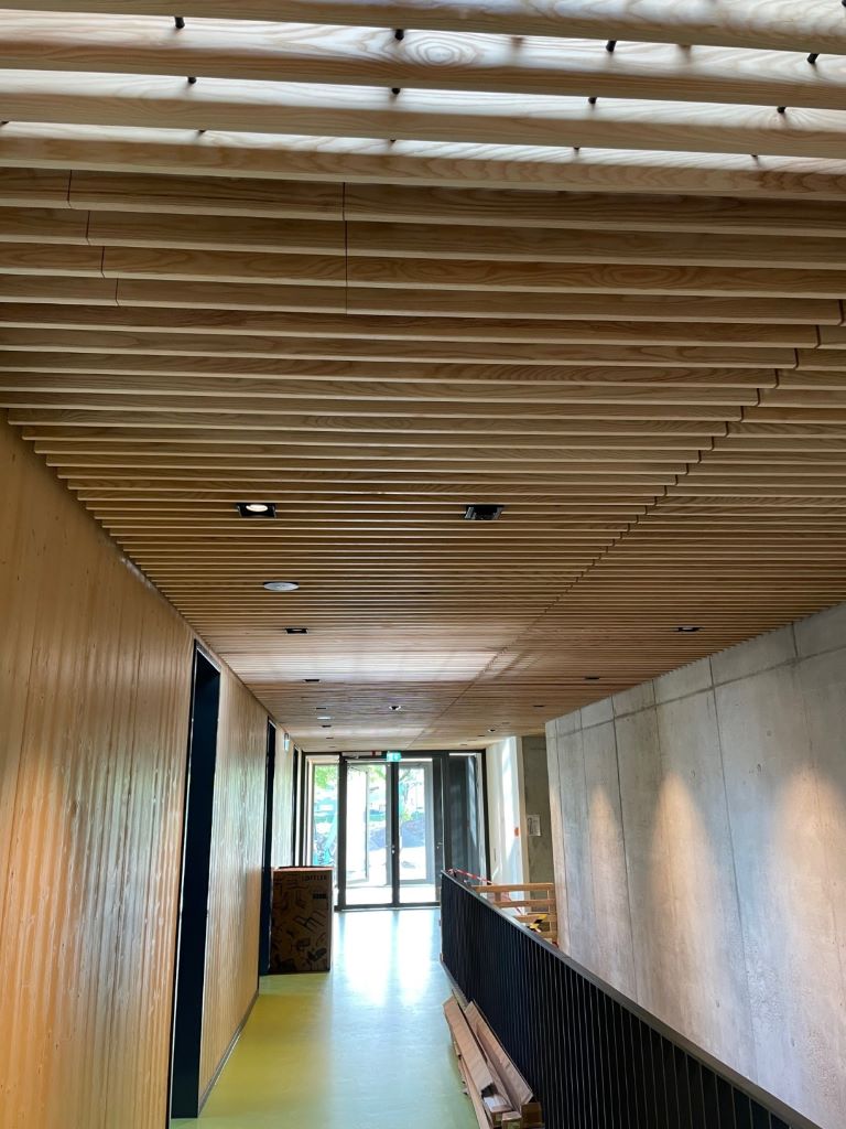 Holzlamellendecke — Technische Betriebe Rastatt